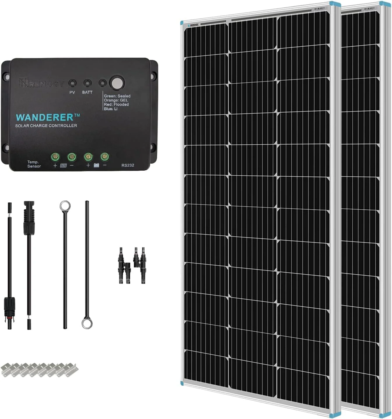 Two Renogy 100W monocrystalline solar panels laid out