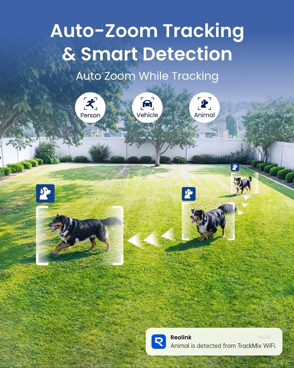 Reolink TrackMix WiFi 4K PTZ showcasing its PTZ and auto-tracking capabilities