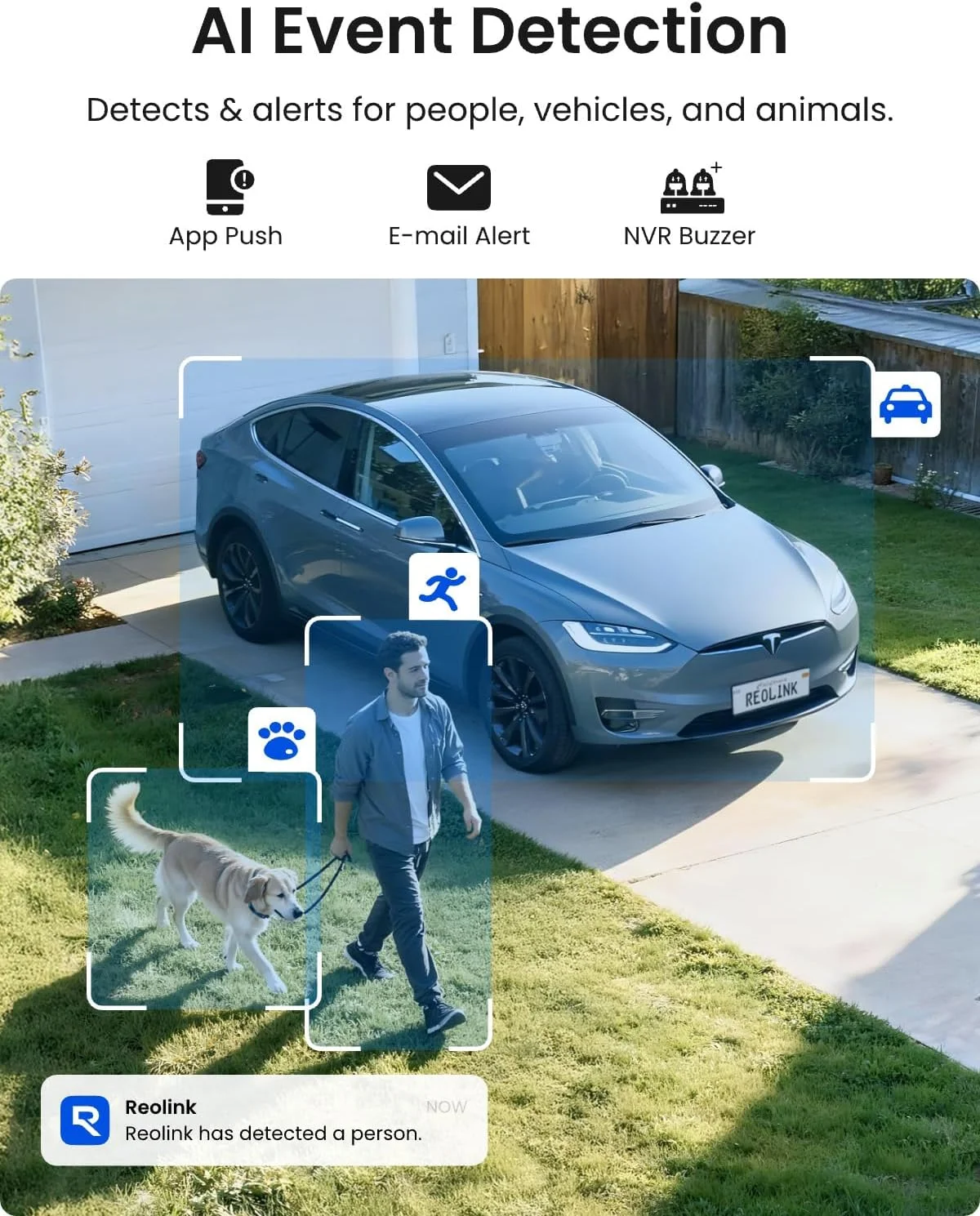 Smart Person and Vehicle Detection Alerts