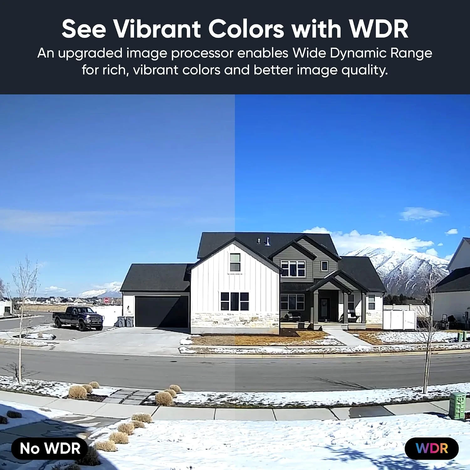 Wyze Cam v4 monitoring a family pet indoors